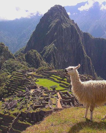 Perú